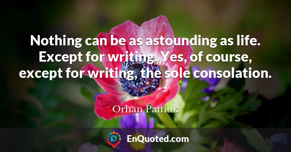Nothing can be as astounding as life. Except for writing. Yes, of course, except for writing, the sole consolation.