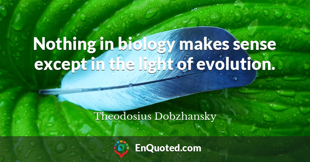 Nothing in biology makes sense except in the light of evolution.