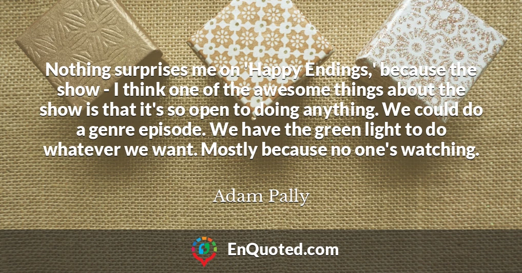 Nothing surprises me on 'Happy Endings,' because the show - I think one of the awesome things about the show is that it's so open to doing anything. We could do a genre episode. We have the green light to do whatever we want. Mostly because no one's watching.