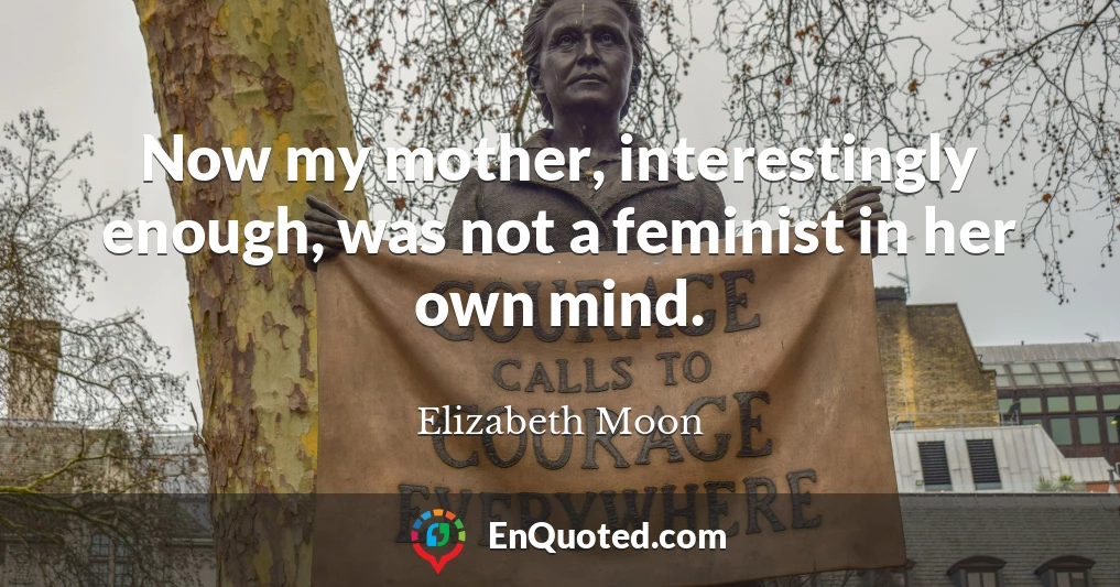 Now my mother, interestingly enough, was not a feminist in her own mind.
