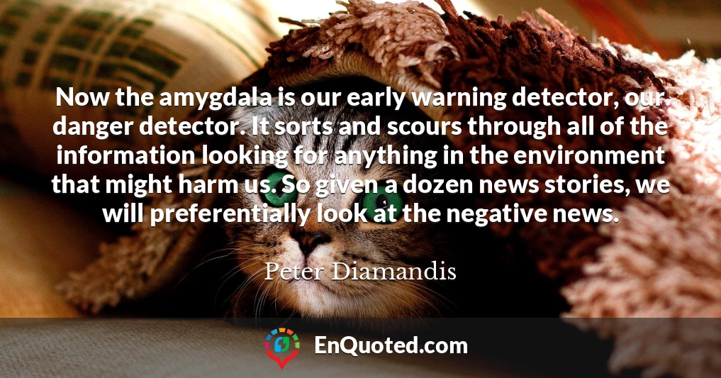 Now the amygdala is our early warning detector, our danger detector. It sorts and scours through all of the information looking for anything in the environment that might harm us. So given a dozen news stories, we will preferentially look at the negative news.