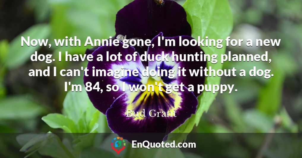 Now, with Annie gone, I'm looking for a new dog. I have a lot of duck hunting planned, and I can't imagine doing it without a dog. I'm 84, so I won't get a puppy.