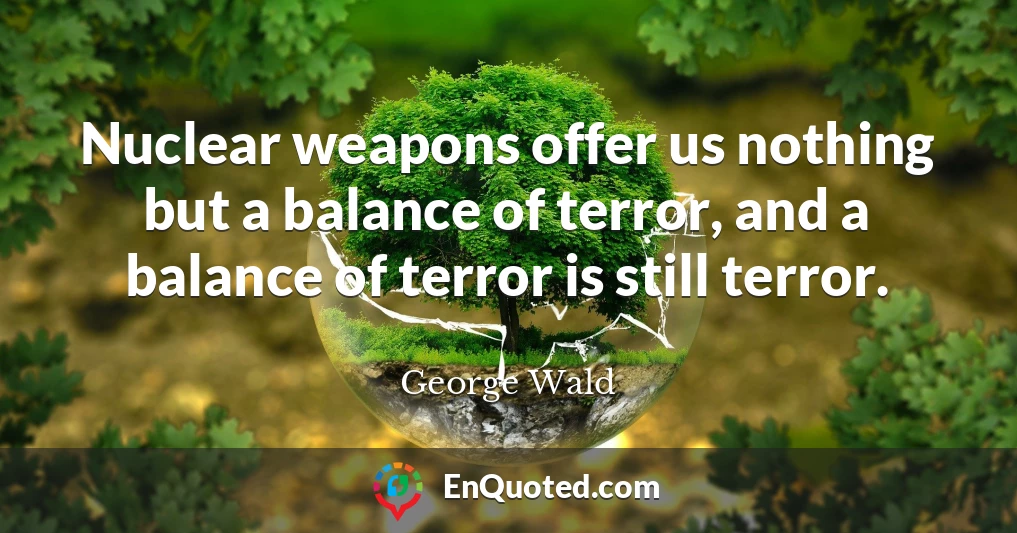 Nuclear weapons offer us nothing but a balance of terror, and a balance of terror is still terror.