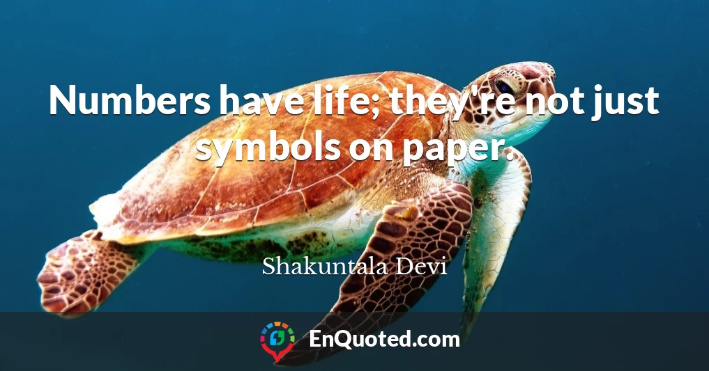Numbers have life; they're not just symbols on paper.