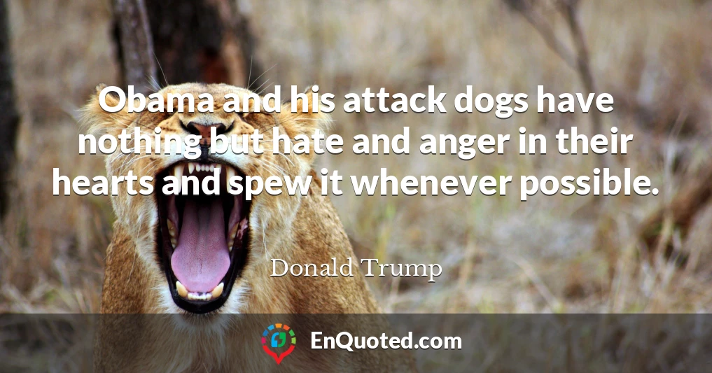 Obama and his attack dogs have nothing but hate and anger in their hearts and spew it whenever possible.