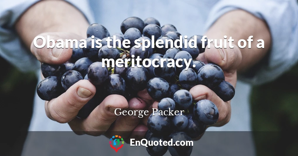 Obama is the splendid fruit of a meritocracy.