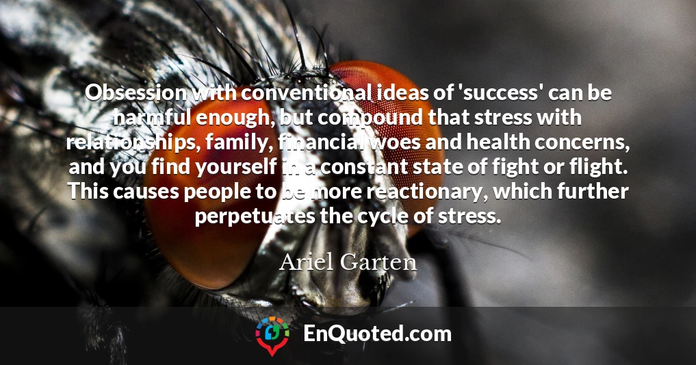 Obsession with conventional ideas of 'success' can be harmful enough, but compound that stress with relationships, family, financial woes and health concerns, and you find yourself in a constant state of fight or flight. This causes people to be more reactionary, which further perpetuates the cycle of stress.