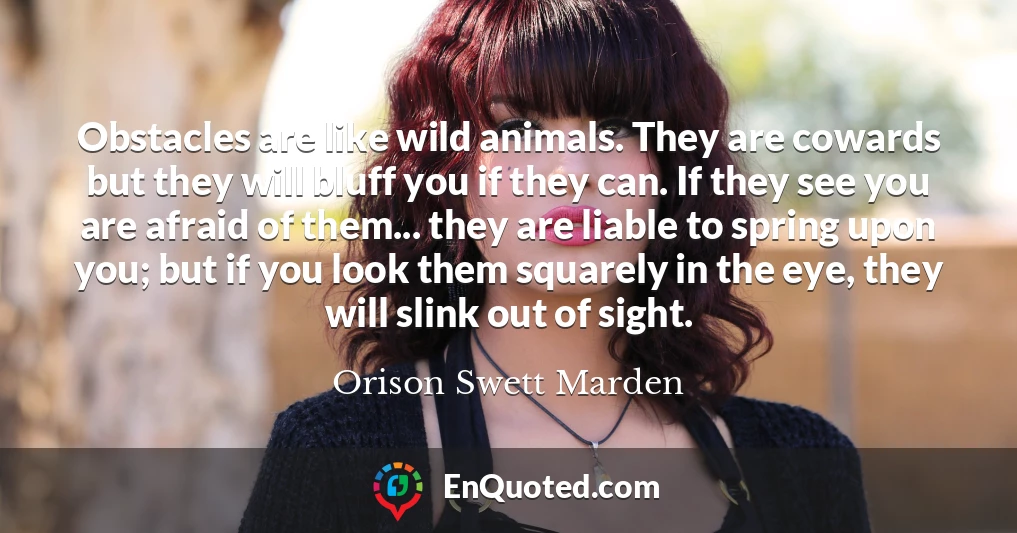 Obstacles are like wild animals. They are cowards but they will bluff you if they can. If they see you are afraid of them... they are liable to spring upon you; but if you look them squarely in the eye, they will slink out of sight.