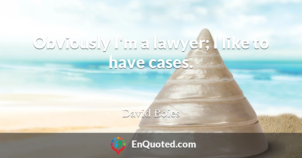 Obviously I'm a lawyer; I like to have cases.