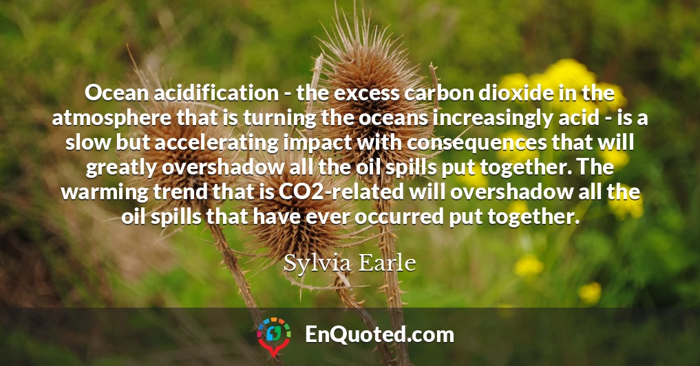 Ocean acidification - the excess carbon dioxide in the atmosphere that is turning the oceans increasingly acid - is a slow but accelerating impact with consequences that will greatly overshadow all the oil spills put together. The warming trend that is CO2-related will overshadow all the oil spills that have ever occurred put together.