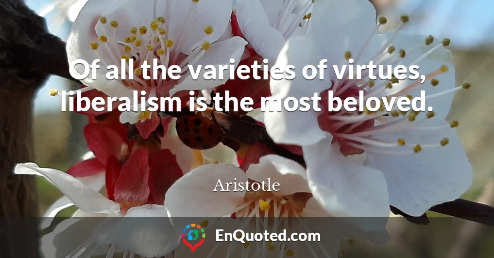 Of all the varieties of virtues, liberalism is the most beloved.