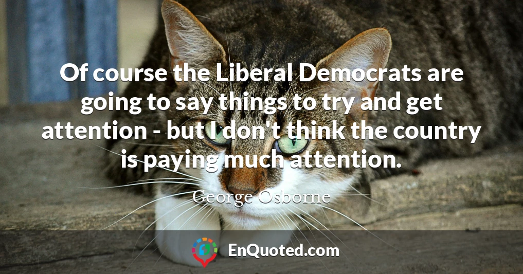 Of course the Liberal Democrats are going to say things to try and get attention - but I don't think the country is paying much attention.