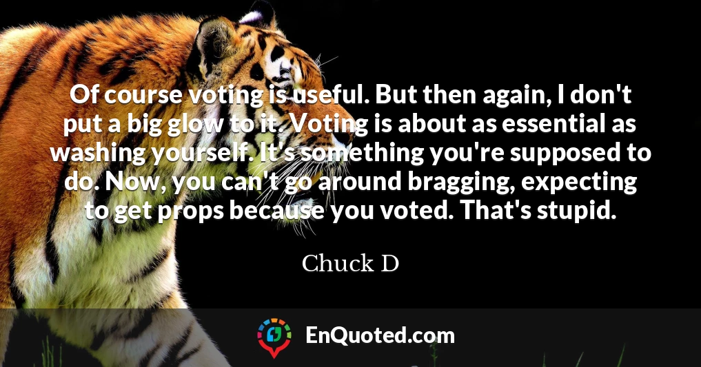 Of course voting is useful. But then again, I don't put a big glow to it. Voting is about as essential as washing yourself. It's something you're supposed to do. Now, you can't go around bragging, expecting to get props because you voted. That's stupid.