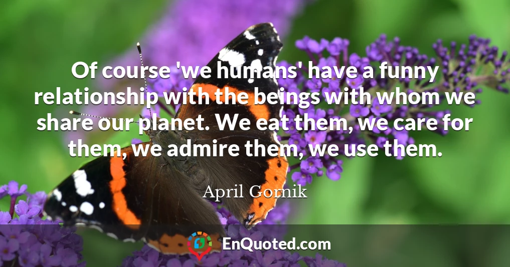 Of course 'we humans' have a funny relationship with the beings with whom we share our planet. We eat them, we care for them, we admire them, we use them.