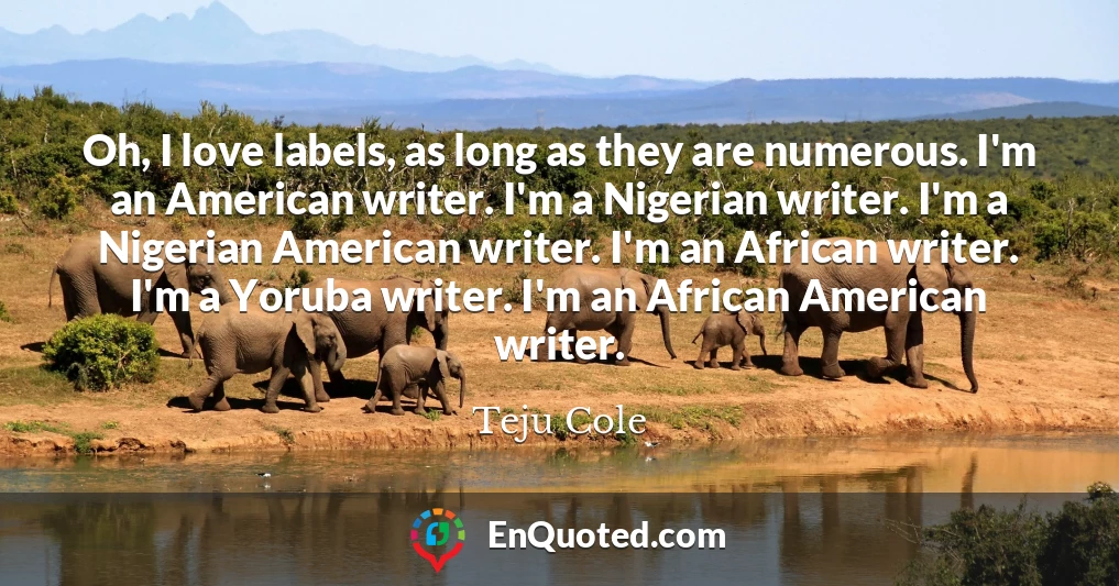 Oh, I love labels, as long as they are numerous. I'm an American writer. I'm a Nigerian writer. I'm a Nigerian American writer. I'm an African writer. I'm a Yoruba writer. I'm an African American writer.