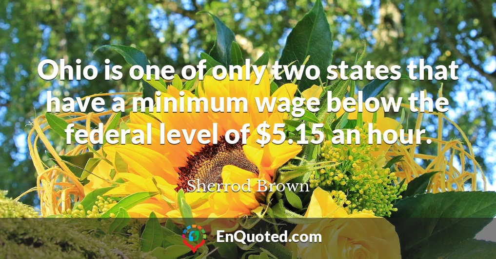 Ohio is one of only two states that have a minimum wage below the federal level of $5.15 an hour.