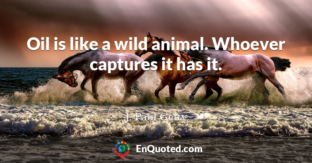 Oil is like a wild animal. Whoever captures it has it.