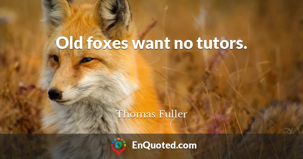 Old foxes want no tutors.