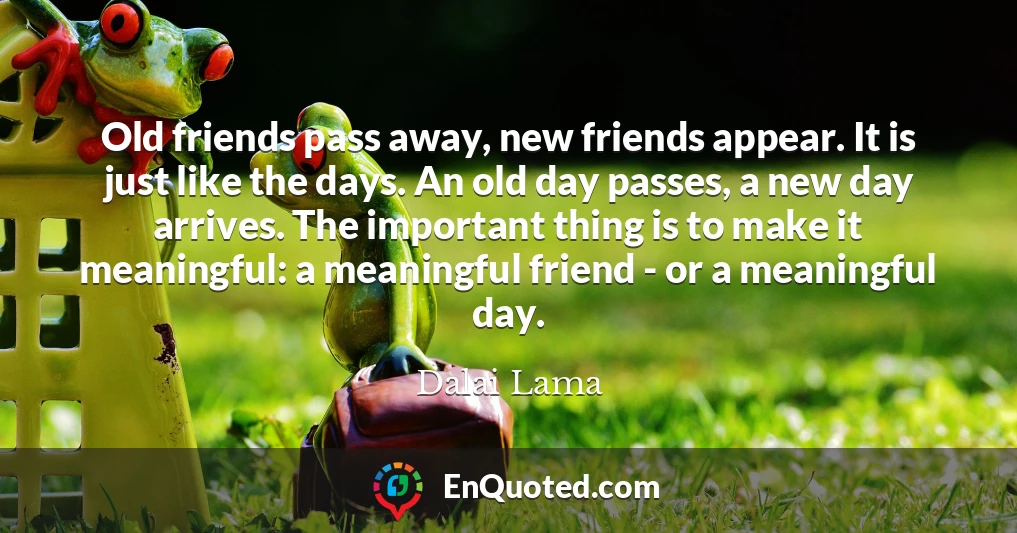 Old friends pass away, new friends appear. It is just like the days. An old day passes, a new day arrives. The important thing is to make it meaningful: a meaningful friend - or a meaningful day.