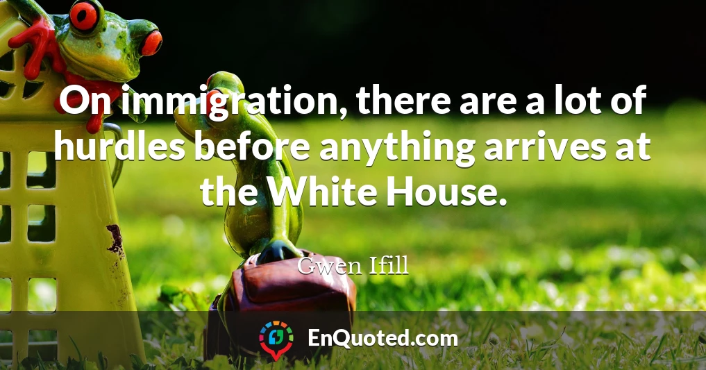 On immigration, there are a lot of hurdles before anything arrives at the White House.