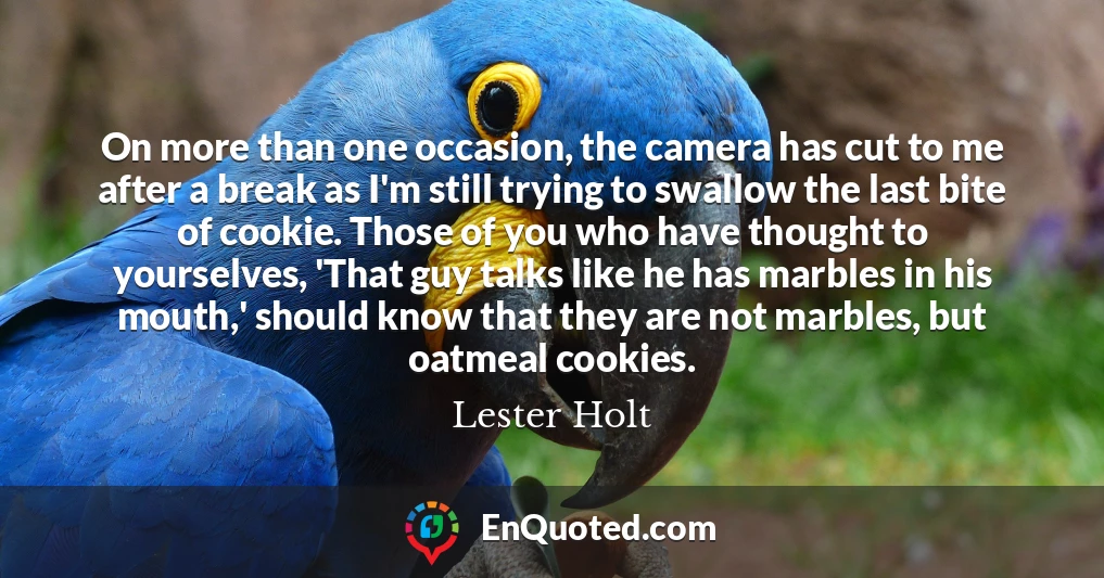 On more than one occasion, the camera has cut to me after a break as I'm still trying to swallow the last bite of cookie. Those of you who have thought to yourselves, 'That guy talks like he has marbles in his mouth,' should know that they are not marbles, but oatmeal cookies.
