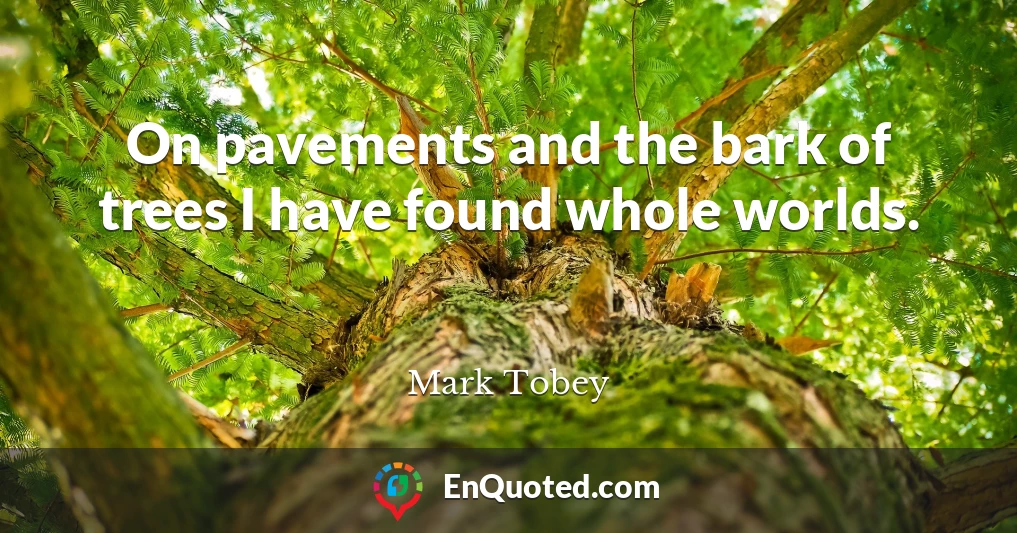 On pavements and the bark of trees I have found whole worlds.