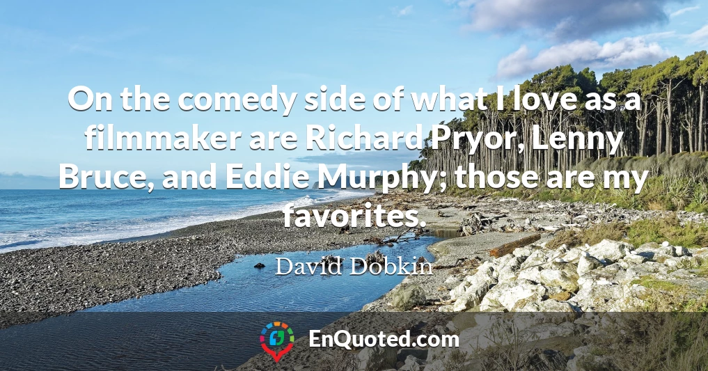 On the comedy side of what I love as a filmmaker are Richard Pryor, Lenny Bruce, and Eddie Murphy; those are my favorites.
