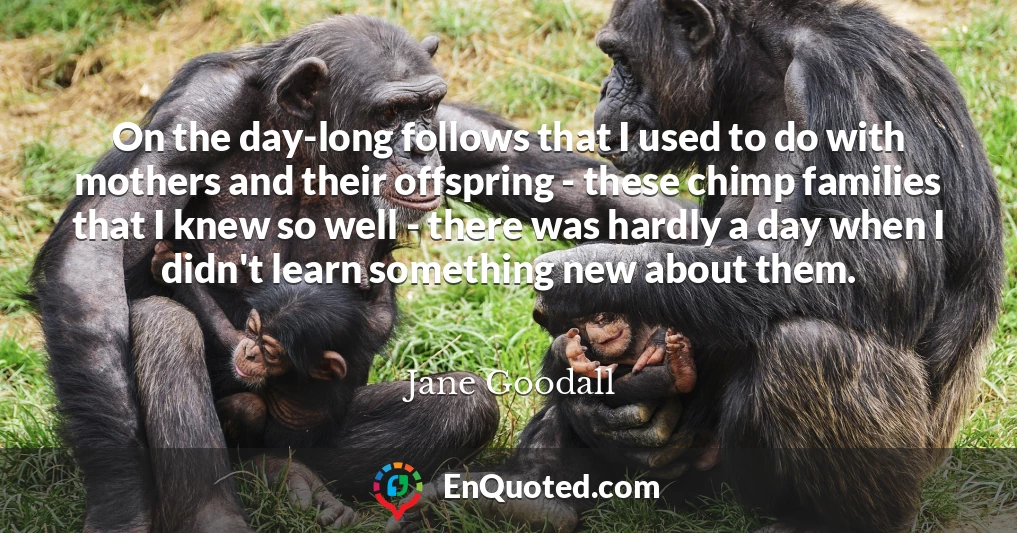 On the day-long follows that I used to do with mothers and their offspring - these chimp families that I knew so well - there was hardly a day when I didn't learn something new about them.