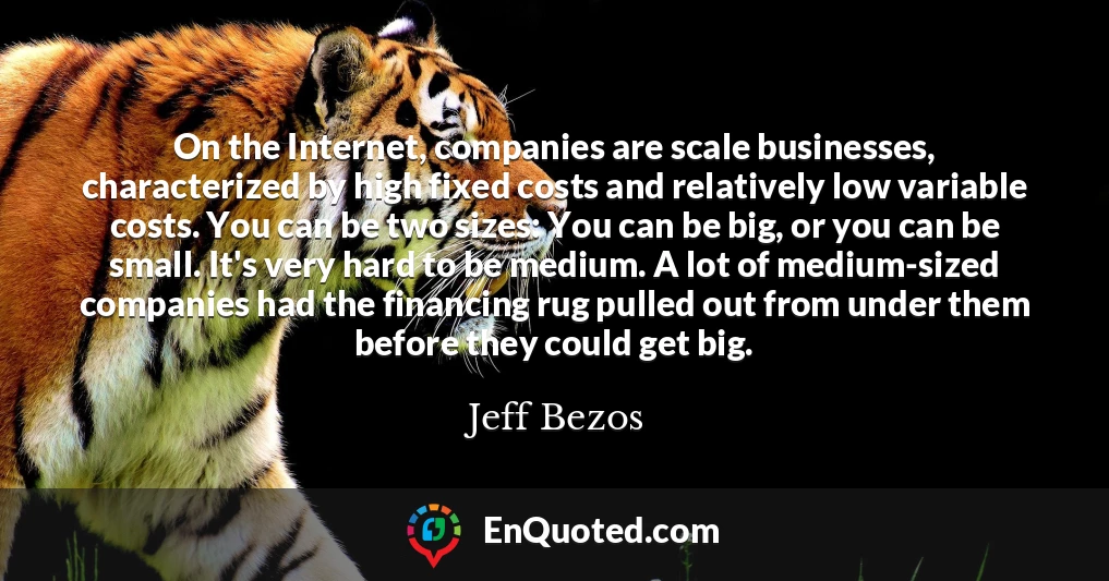 On the Internet, companies are scale businesses, characterized by high fixed costs and relatively low variable costs. You can be two sizes: You can be big, or you can be small. It's very hard to be medium. A lot of medium-sized companies had the financing rug pulled out from under them before they could get big.