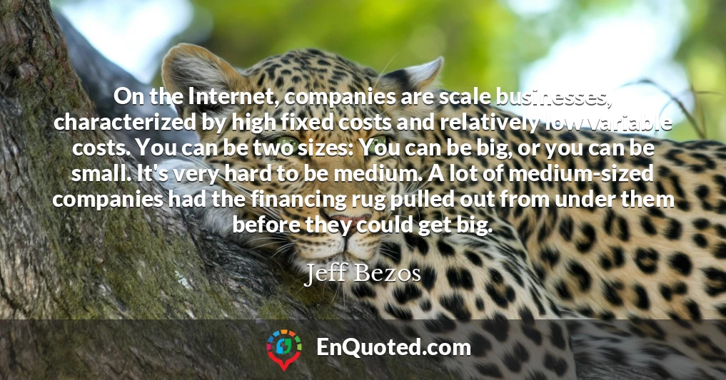 On the Internet, companies are scale businesses, characterized by high fixed costs and relatively low variable costs. You can be two sizes: You can be big, or you can be small. It's very hard to be medium. A lot of medium-sized companies had the financing rug pulled out from under them before they could get big.