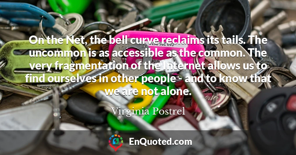On the Net, the bell curve reclaims its tails. The uncommon is as accessible as the common. The very fragmentation of the Internet allows us to find ourselves in other people - and to know that we are not alone.
