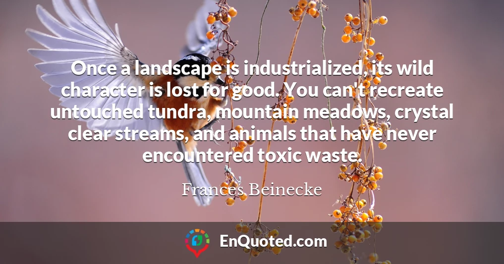 Once a landscape is industrialized, its wild character is lost for good. You can't recreate untouched tundra, mountain meadows, crystal clear streams, and animals that have never encountered toxic waste.