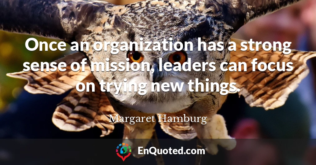 Once an organization has a strong sense of mission, leaders can focus on trying new things.