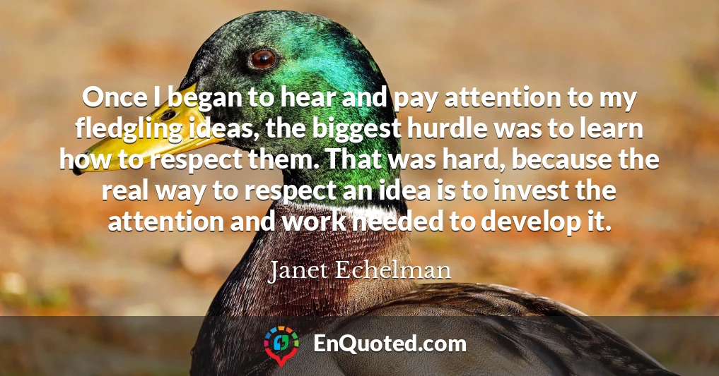 Once I began to hear and pay attention to my fledgling ideas, the biggest hurdle was to learn how to respect them. That was hard, because the real way to respect an idea is to invest the attention and work needed to develop it.