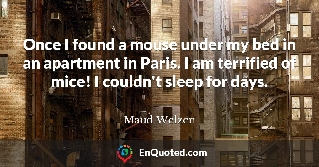 Once I found a mouse under my bed in an apartment in Paris. I am terrified of mice! I couldn't sleep for days.