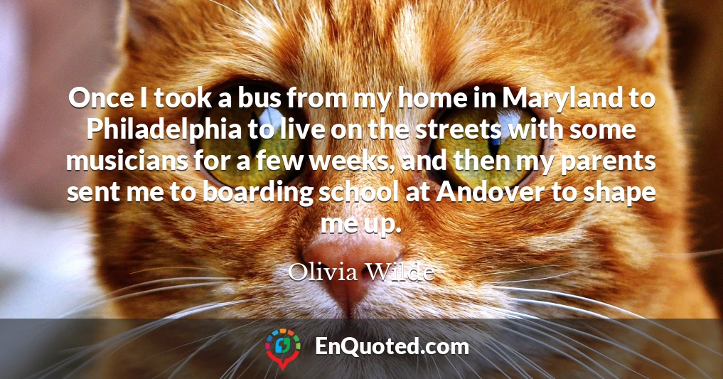 Once I took a bus from my home in Maryland to Philadelphia to live on the streets with some musicians for a few weeks, and then my parents sent me to boarding school at Andover to shape me up.