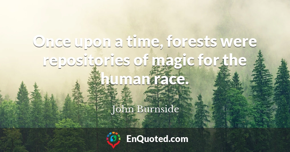 Once upon a time, forests were repositories of magic for the human race.