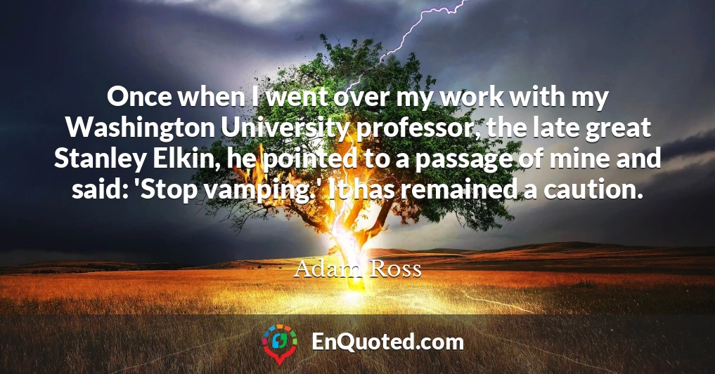 Once when I went over my work with my Washington University professor, the late great Stanley Elkin, he pointed to a passage of mine and said: 'Stop vamping.' It has remained a caution.