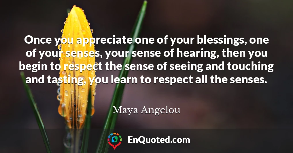 Once you appreciate one of your blessings, one of your senses, your sense of hearing, then you begin to respect the sense of seeing and touching and tasting, you learn to respect all the senses.