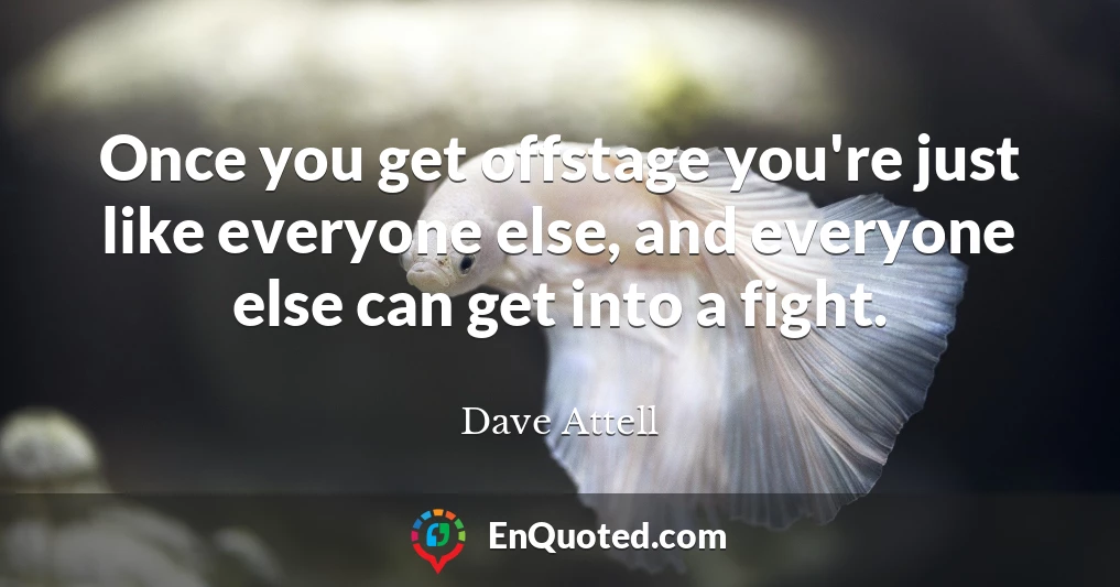 Once you get offstage you're just like everyone else, and everyone else can get into a fight.