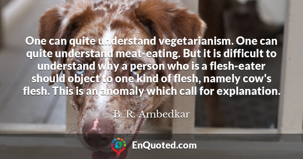 One can quite understand vegetarianism. One can quite understand meat-eating. But it is difficult to understand why a person who is a flesh-eater should object to one kind of flesh, namely cow's flesh. This is an anomaly which call for explanation.