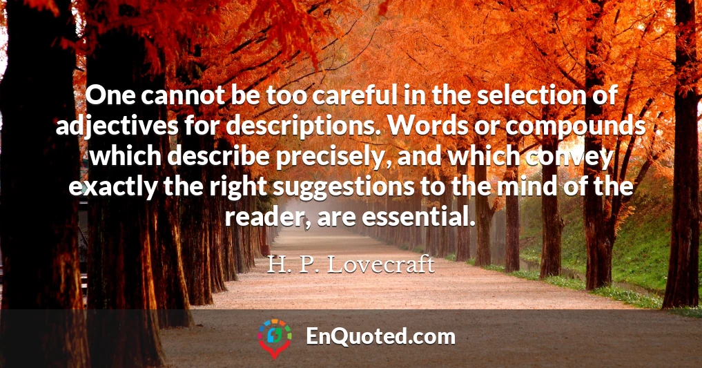 One cannot be too careful in the selection of adjectives for descriptions. Words or compounds which describe precisely, and which convey exactly the right suggestions to the mind of the reader, are essential.