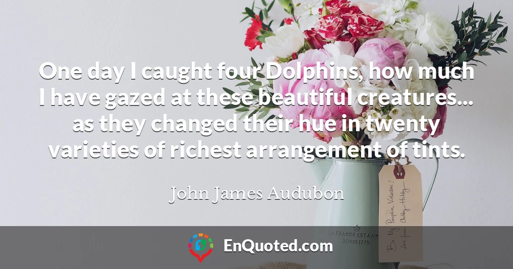 One day I caught four Dolphins, how much I have gazed at these beautiful creatures... as they changed their hue in twenty varieties of richest arrangement of tints.