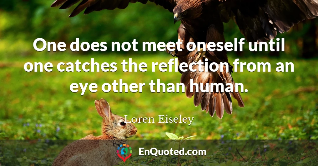 One does not meet oneself until one catches the reflection from an eye other than human.