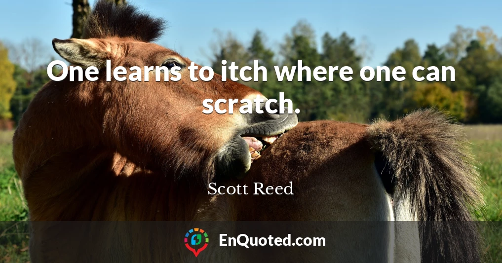 One learns to itch where one can scratch.