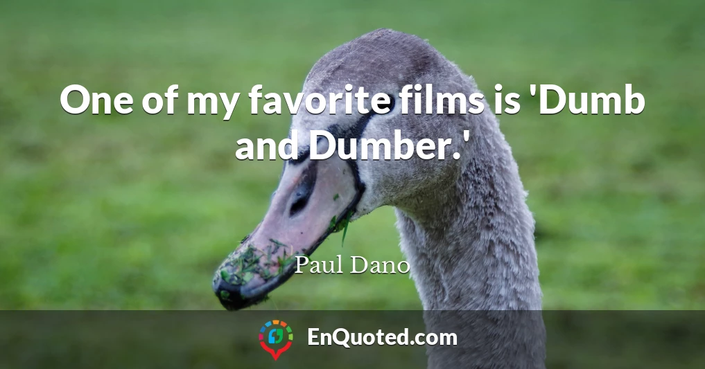 One of my favorite films is 'Dumb and Dumber.'