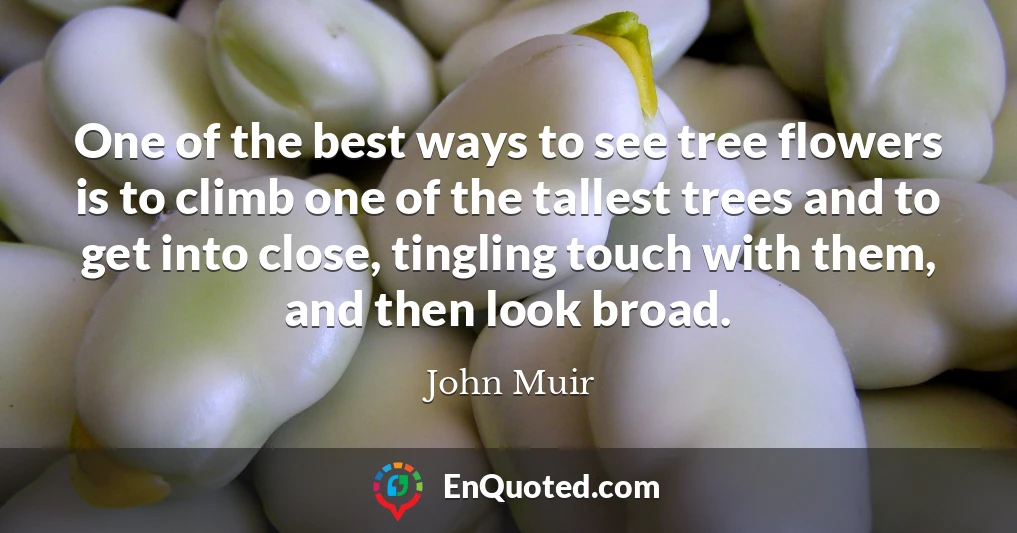 One of the best ways to see tree flowers is to climb one of the tallest trees and to get into close, tingling touch with them, and then look broad.