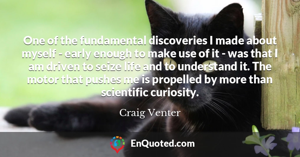 One of the fundamental discoveries I made about myself - early enough to make use of it - was that I am driven to seize life and to understand it. The motor that pushes me is propelled by more than scientific curiosity.