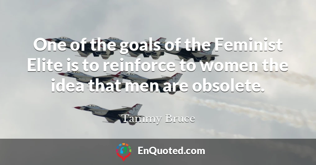 One of the goals of the Feminist Elite is to reinforce to women the idea that men are obsolete.