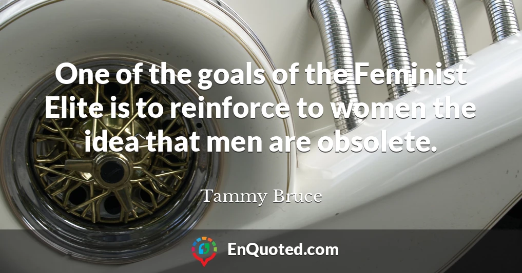 One of the goals of the Feminist Elite is to reinforce to women the idea that men are obsolete.